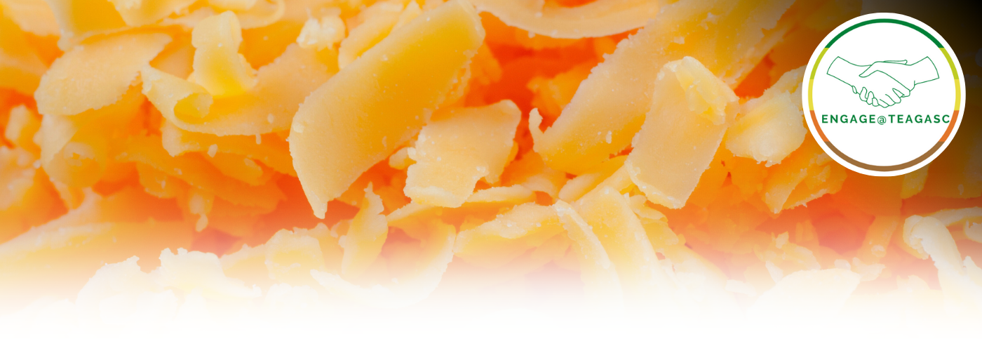 Reduced-Fat, Reduced-Salt Cheddar Cheese Header