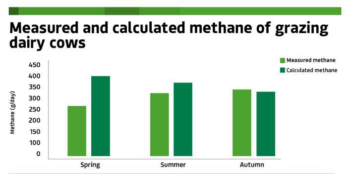 Graphic showing measured and calculated methane of grazing dairy cows