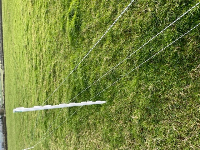 temporary sheep wire fence olivia Hynes