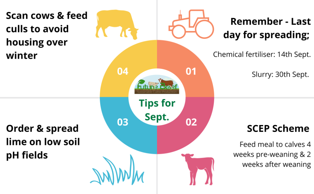 Top Tips for September