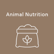 Have you completed a fodder budget for winter 2022?