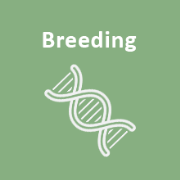 Using all info available when making breeding decisions
