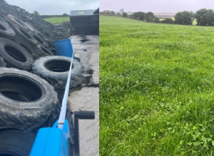 Farm update grassland and silage