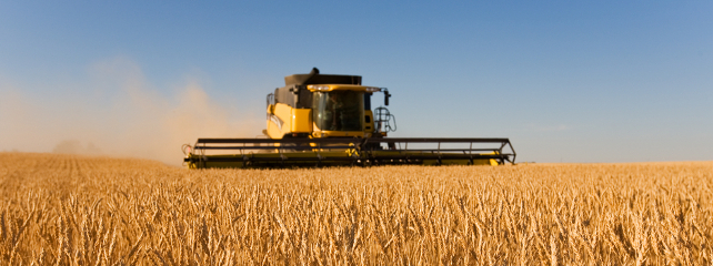 Agriculture