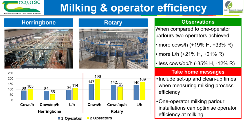 Milking Operator Efficiency