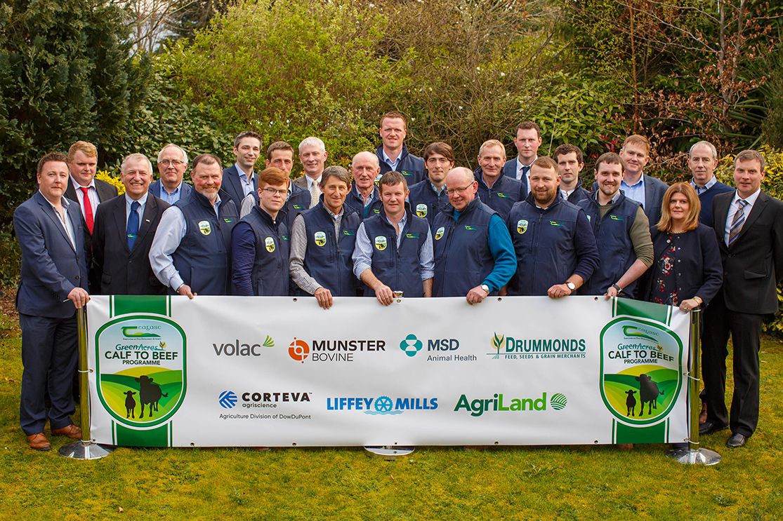 Teagasc Green Acres Dairy Calf to Beef Programme Launched