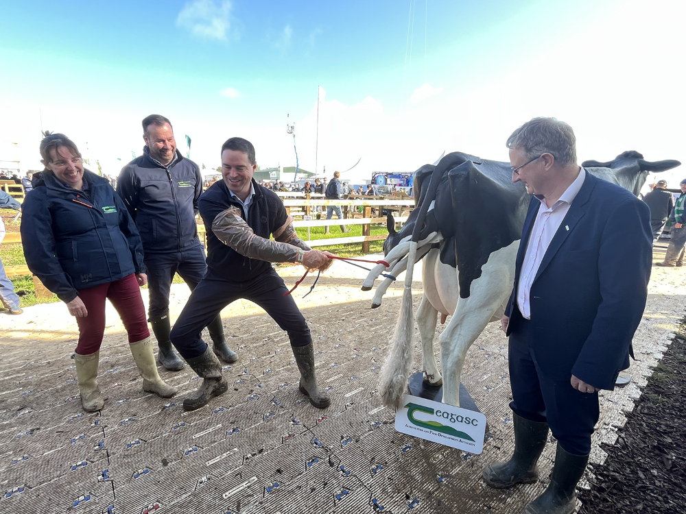 Minister Heydon launches new Livestock Simulators