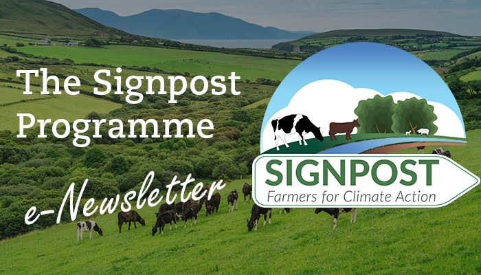 Teagasc Signpost Programme Newsletter July 2022