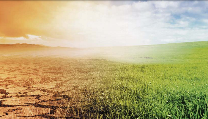 Agriculture is facing a momentous decision on carbon budgets