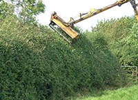 Hedgerow Cutting Season Begins