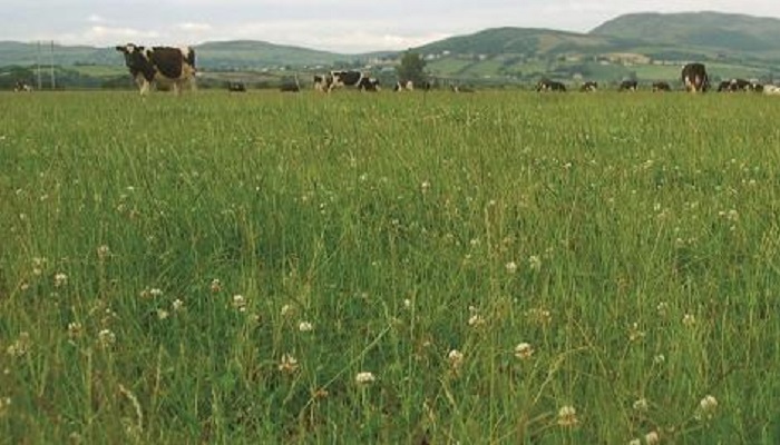 Teagasc appoints new Organic Specialist