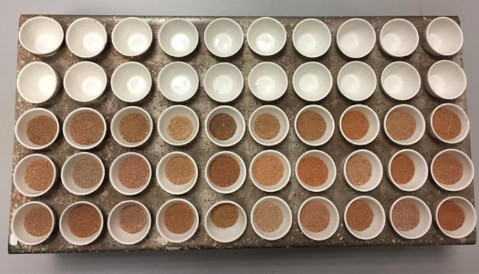 Soil Health Series: Soil Chemical Quality Indicators