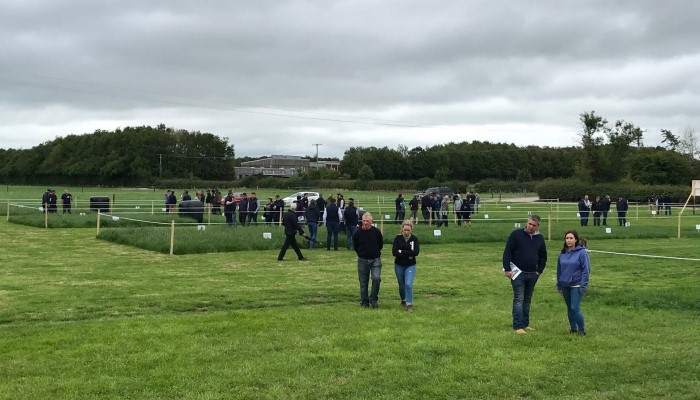 Grass 10 Newsletter July 5th