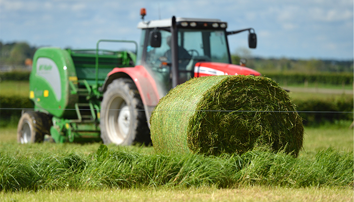 Key tips on building a fodder reserve this summer