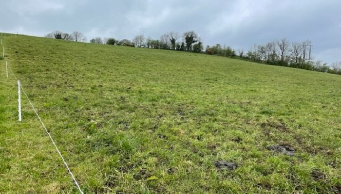 Future Beef Update: Moving from challenging grazing conditions to a surplus position