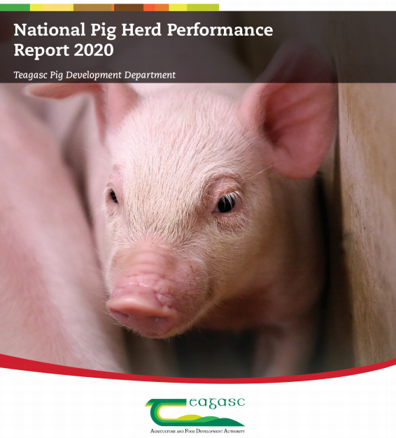 National Pig Herd Performance Report 2021