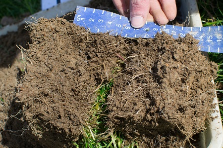 Environment - Soil Health Series: Soil Chemical Quality Indicators -  Teagasc | Agriculture and Food Development Authority