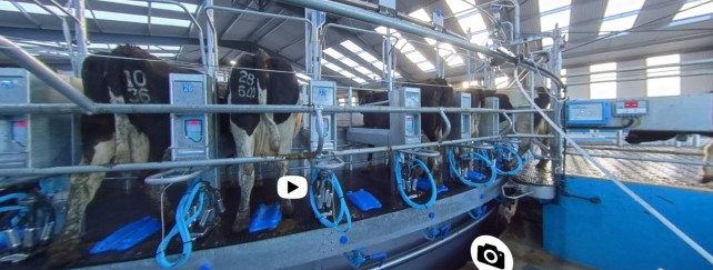 Rotary Milking Parlours