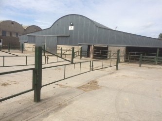 Calttle Rails