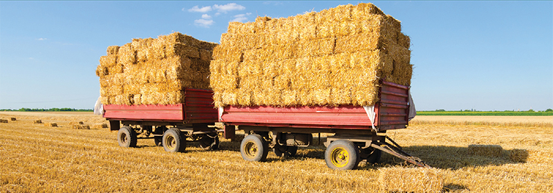 straw 