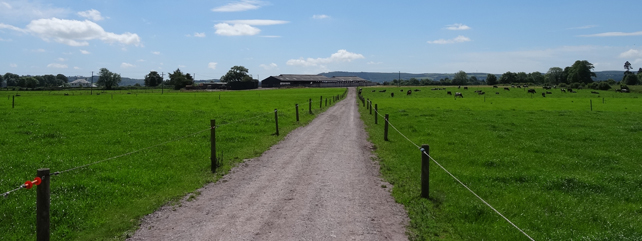 Curtins Farm, Co Cork